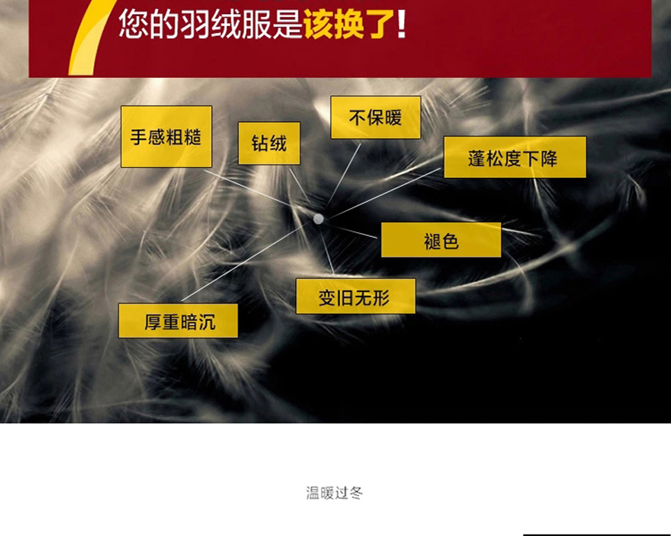 K921????_06.jpg K921????_06.jpg